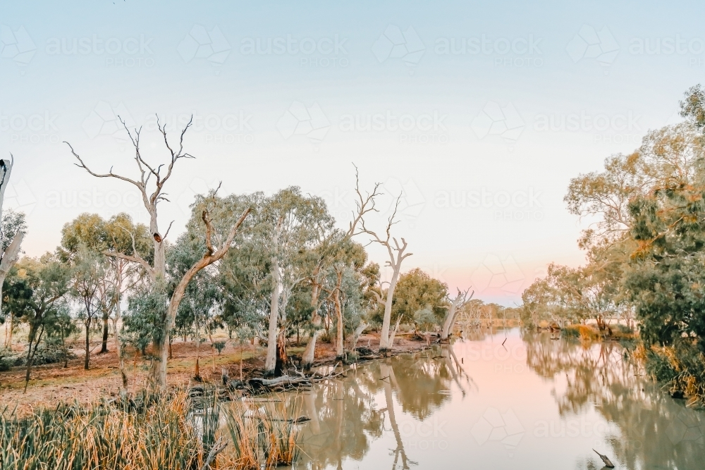 Tranquil creek lined with gum trees in central Victoria - Australian Stock Image