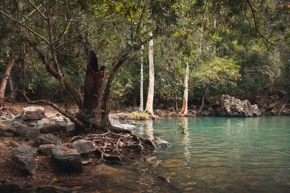 Tranquil fresh water scene at Cedar Creek Falls in the Whitsundays - Australian Stock Image