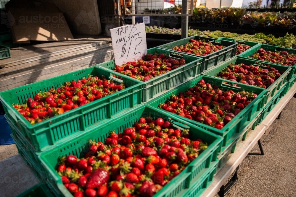 trays of strawberries for sale at the markets - Australian Stock Image