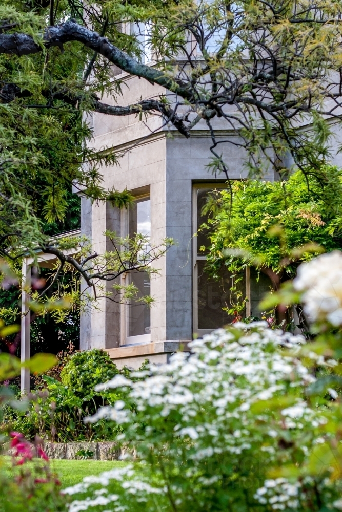 Tree branches and flowers in garden of sandstone house - Australian Stock Image