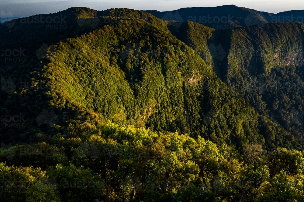 Tree-covered mountain landscape - Australian Stock Image