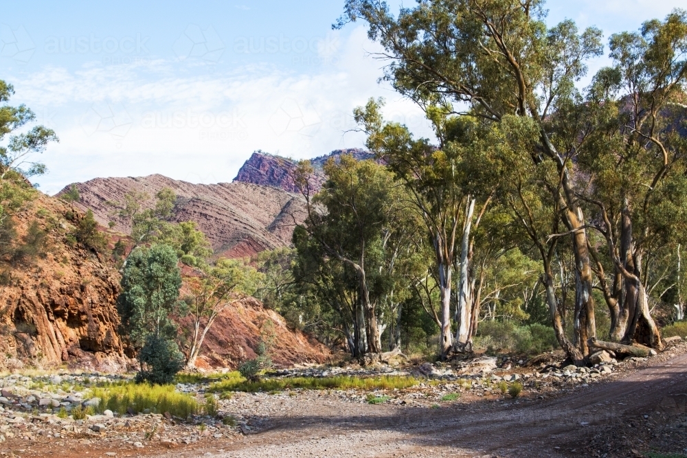 Tree lined creek winding through rugged hills - Australian Stock Image