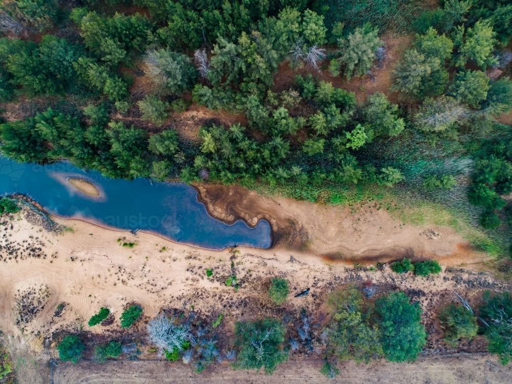 Trees beside pool of stagnant water of creek - Australian Stock Image