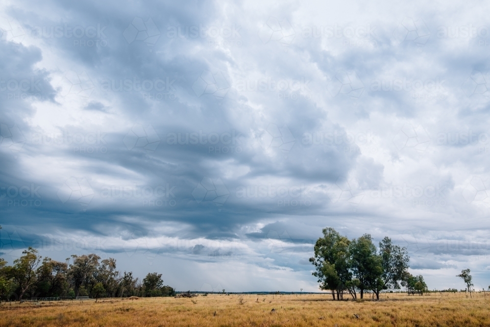 Trees on open plains with overcast sky - Australian Stock Image