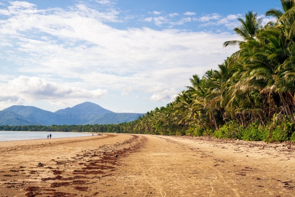 Tropical beachscape at Port Douglas - Australian Stock Image