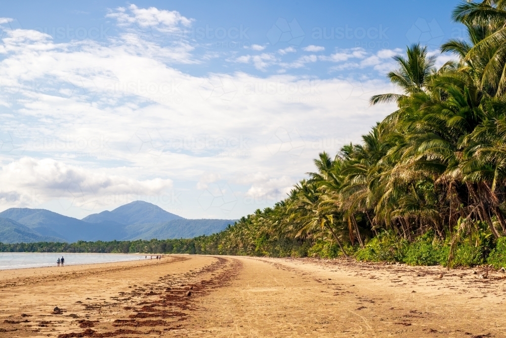 Tropical beachscape at Port Douglas - Australian Stock Image