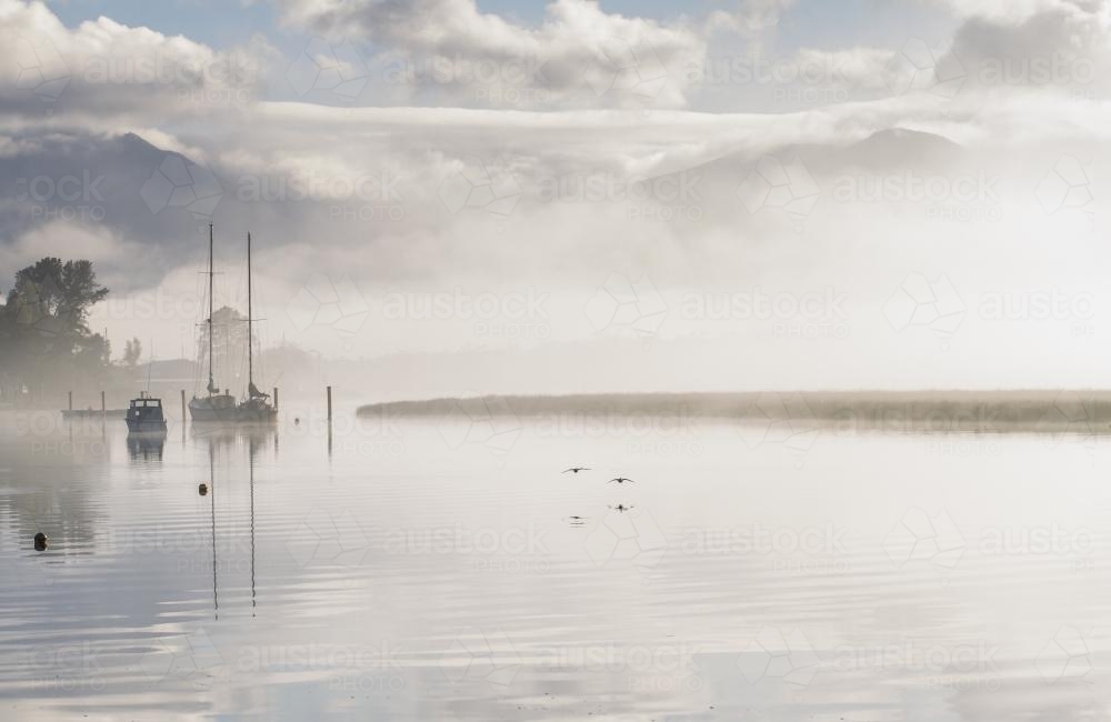 Two birds glide past moored yachts and over the still Huon River on a misty morning - Australian Stock Image