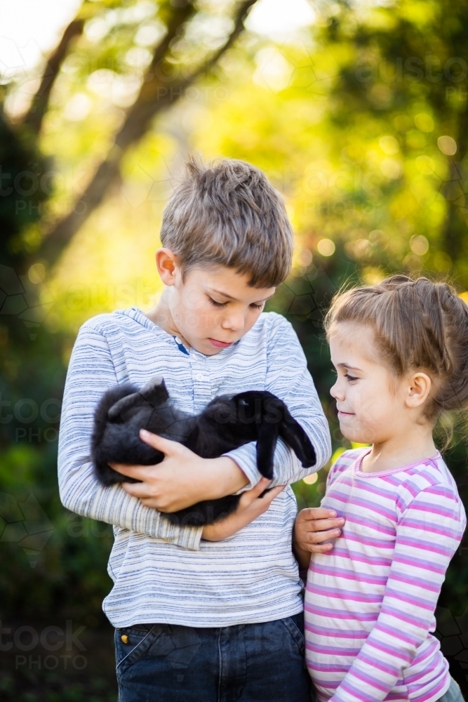 Two children cuddling with pet rabbit outside - Australian Stock Image