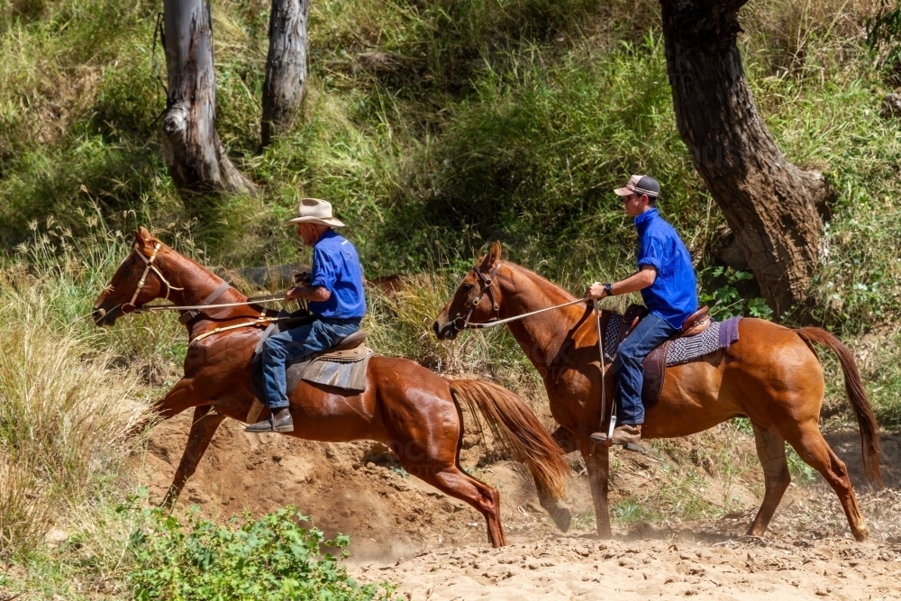 Two cowboys riding their horses out of a dry creek. - Australian Stock Image