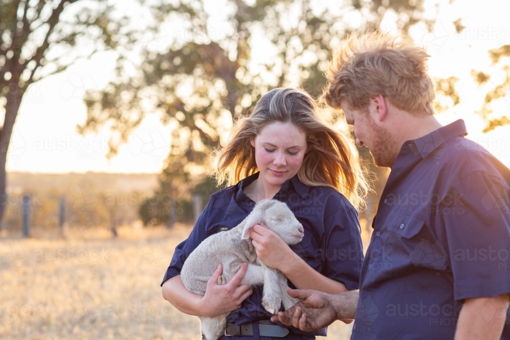 Two farm workers with a baby lamb - Australian Stock Image