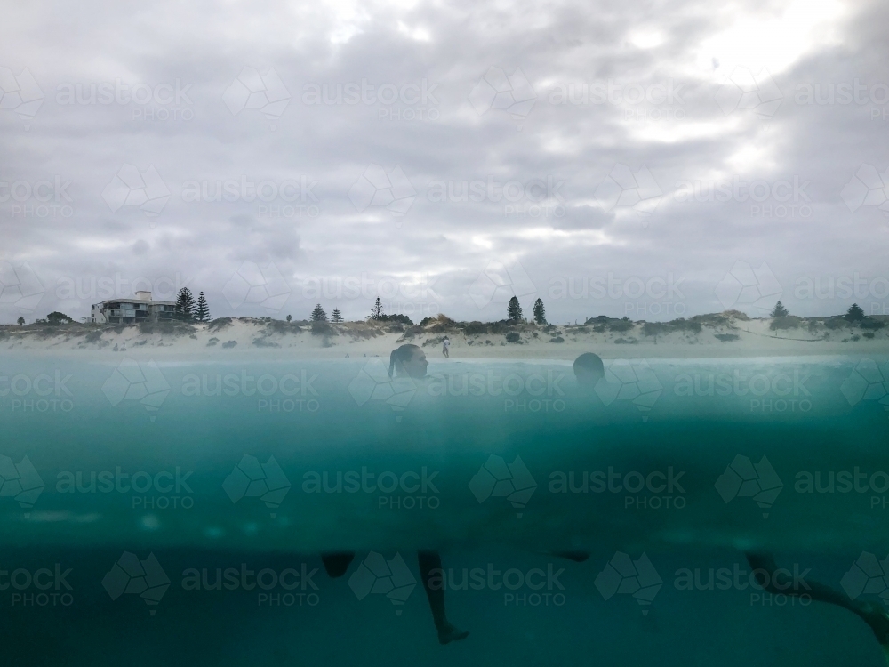 Two females swimming in ocean half view underwater and above water with beach in background - Australian Stock Image