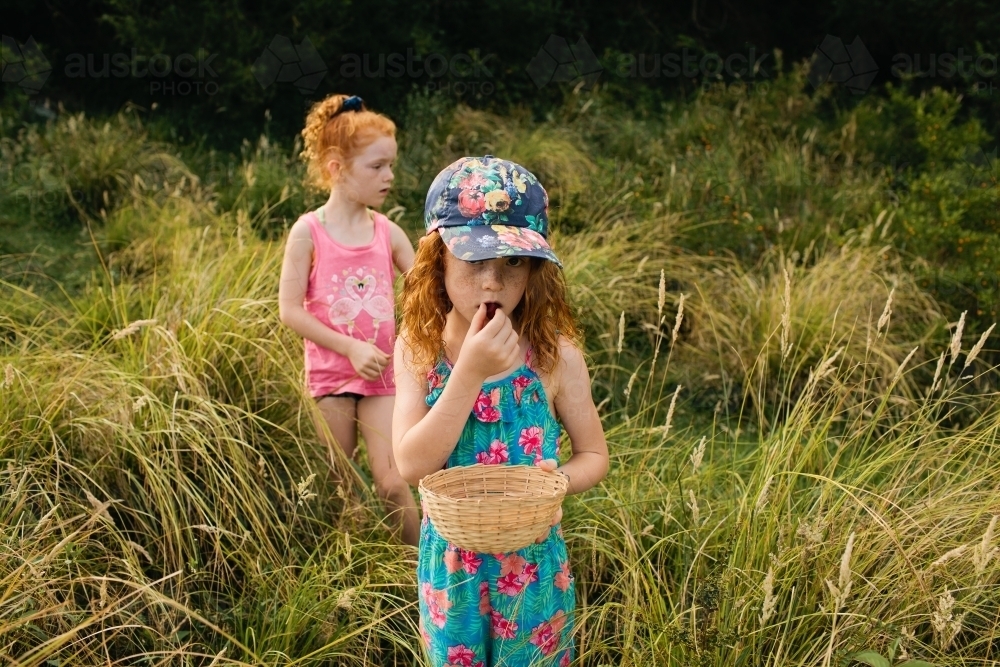 Image of Two girls picking wild berries - Austockphoto