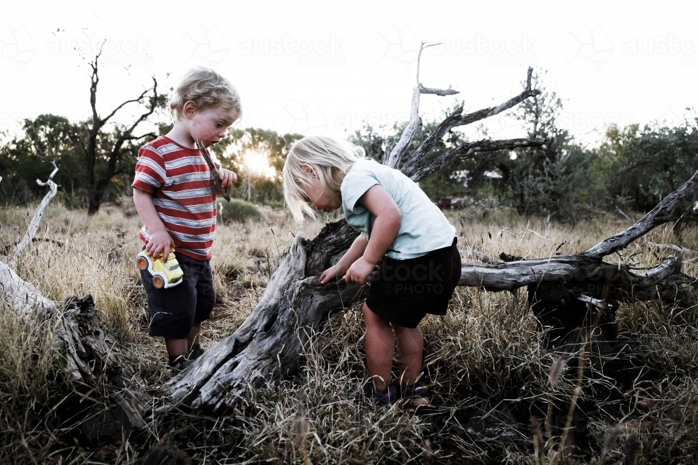 Two kids enjoying bush playtime - Australian Stock Image