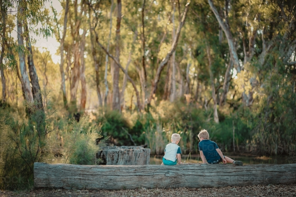 Two little boys sitting on log beside creek in the Australian bush - Australian Stock Image