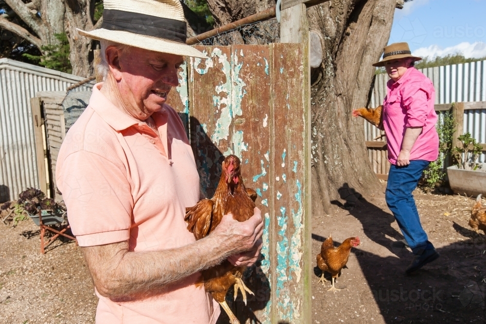 Two old couple holding chickens in the farm - Australian Stock Image