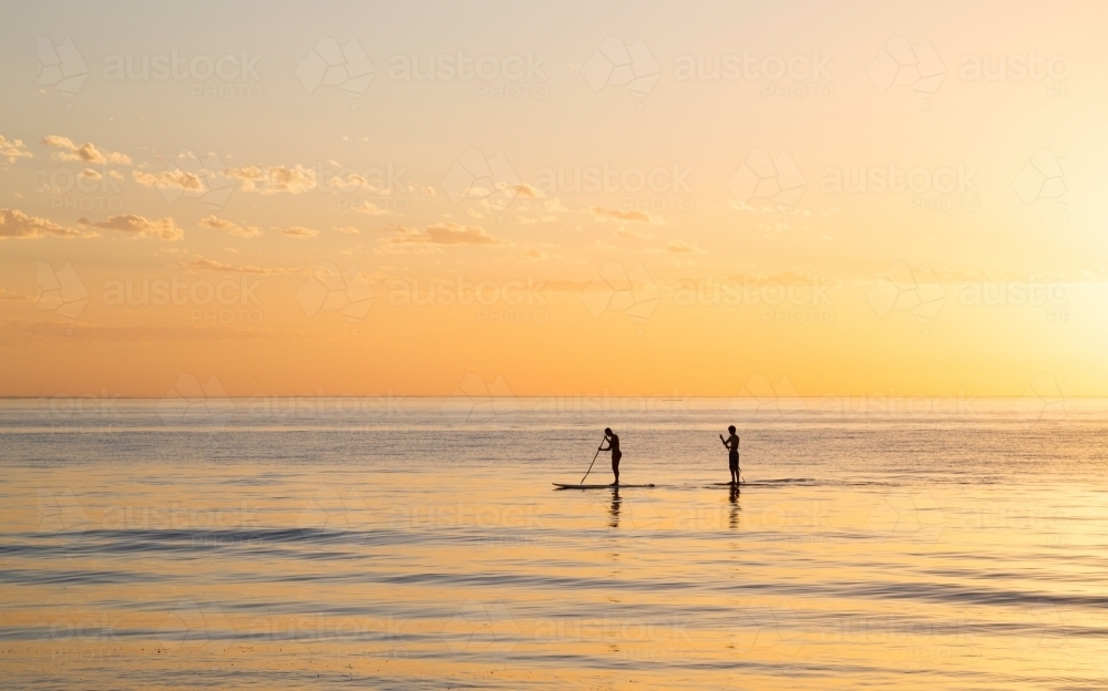 two paddleboarders out on the water - Australian Stock Image