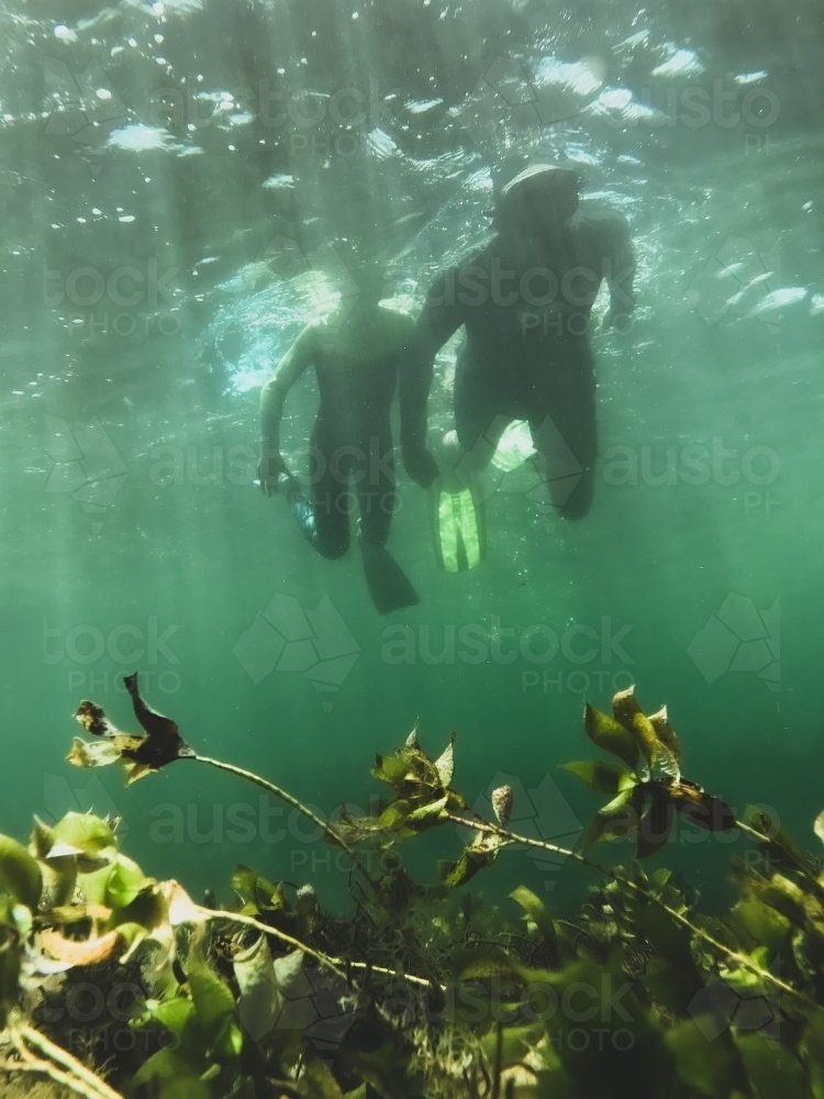 Two people snorkelling together over reef taken underwater - Australian Stock Image