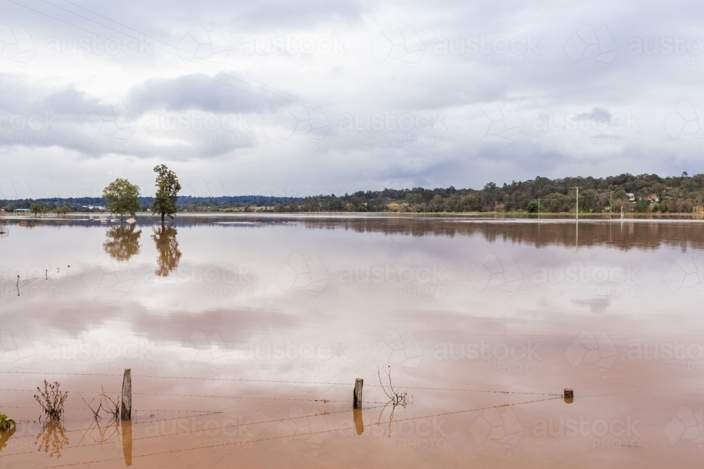 Two trees in flooded farm paddock with fence underwater - Australian Stock Image