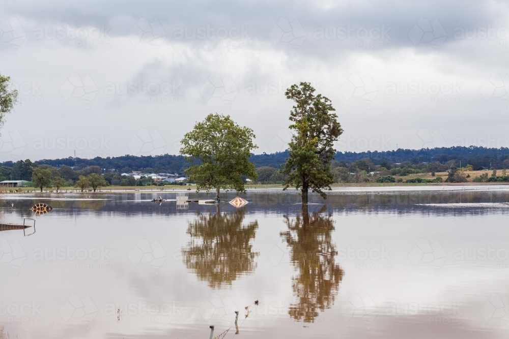 Two trees in flooded farm paddock with fence underwater - Australian Stock Image