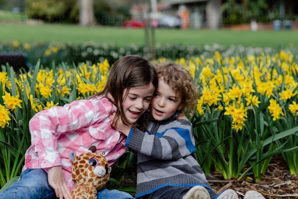 Two young children (brother and sister) playing in front of a daffodil garden - Australian Stock Image