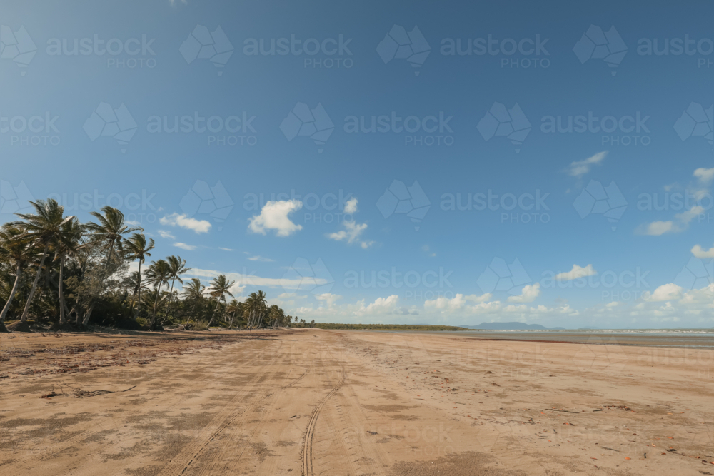 Tyre tracks along the beach at low tide in tropical north Queensland - Australian Stock Image