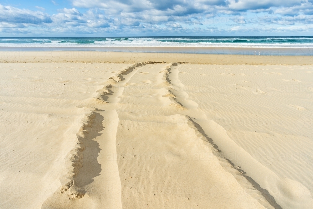 Tyre tracks in the sand on a beach - Australian Stock Image