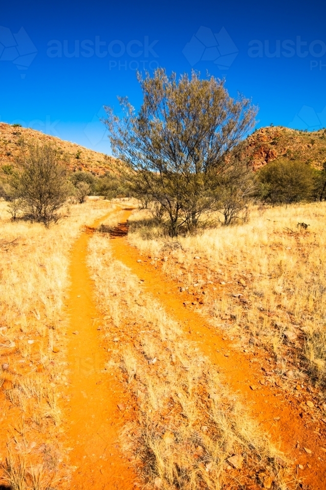 Tyre tracks leading away through the red earth of Central Australia. - Australian Stock Image