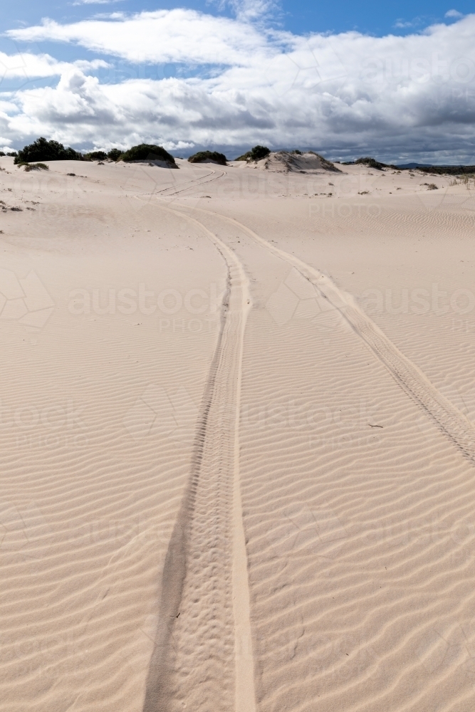 tyre tracks leading through white sand dunes - Australian Stock Image