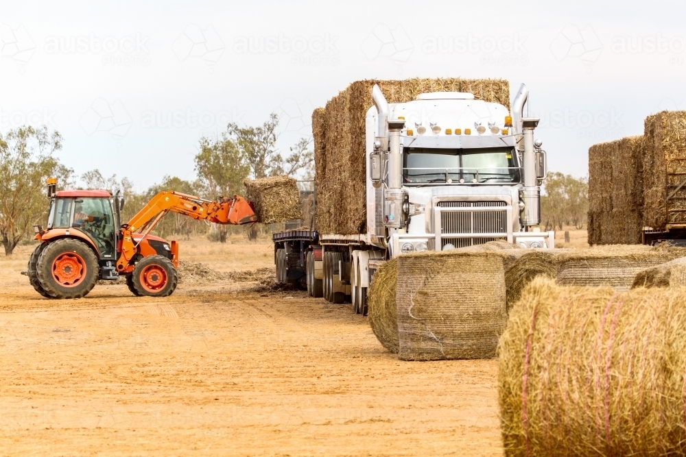 Unloading large hay bales off semi-trailer. - Australian Stock Image