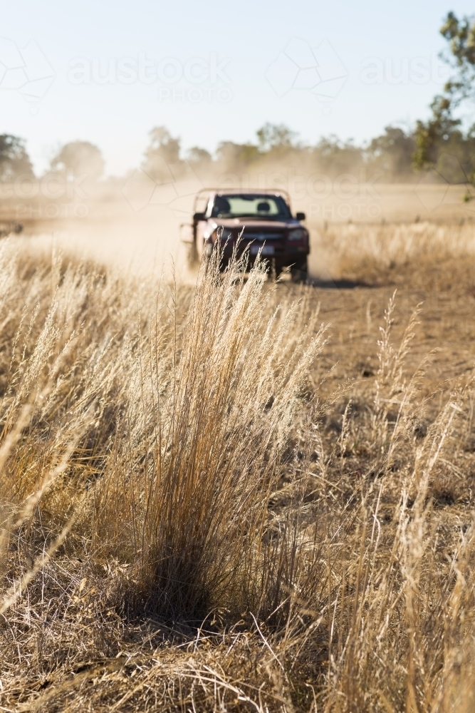 Ute travelling down a dirt road with dry grass in foreground - Australian Stock Image