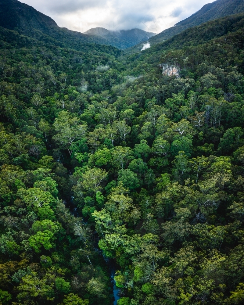 River winding through tropical rainforest - Australian Stock Image