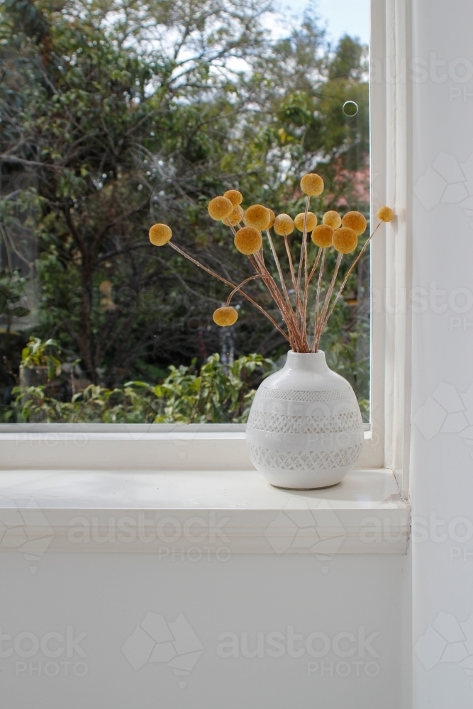 Vase on billy ball flowers on window sill in sun room - Australian Stock Image