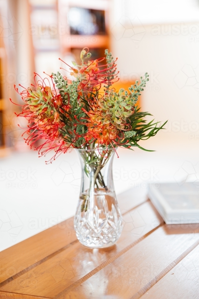 Vase on coffee table with red grevillea flowers - Australian Stock Image