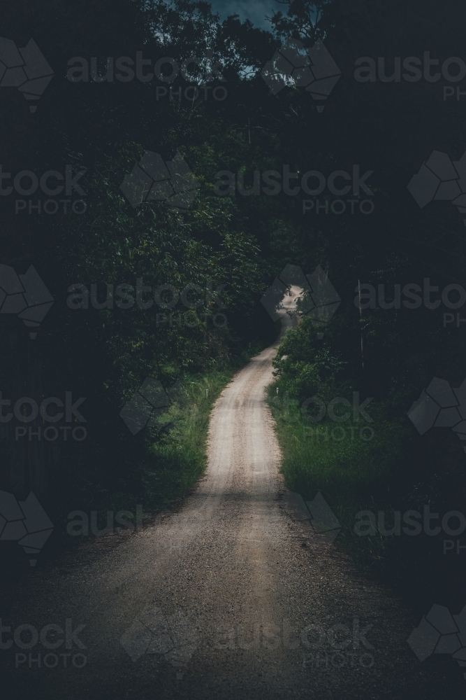 vertical shot of a dark pathway surrounded by trees, grass and leaves - Australian Stock Image