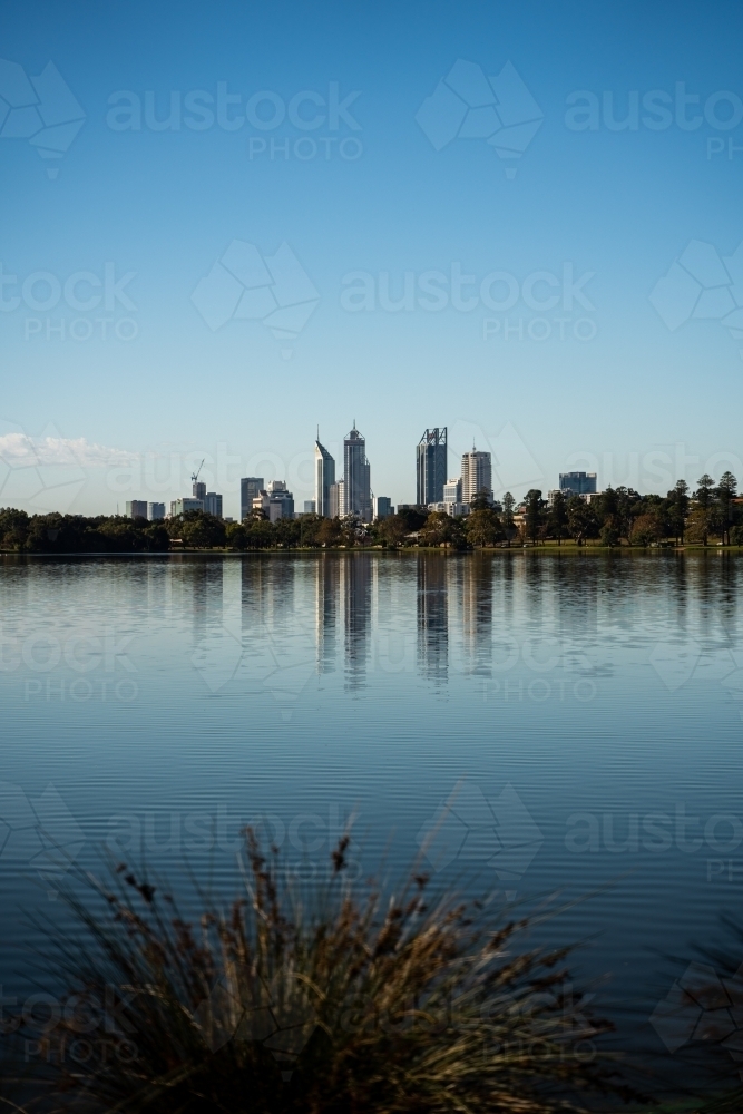 vertical shot of an ocean on a sunny day with buildings reflected by the water and grass in front - Australian Stock Image