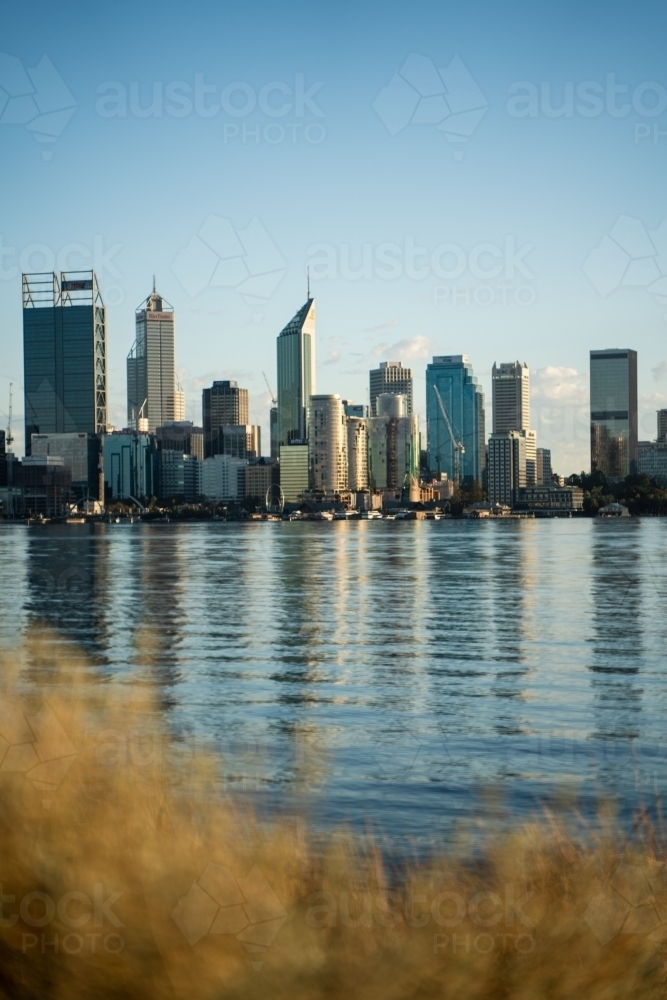 vertical shot of an ocean on a sunny day with buildings reflected by the water and grass in front - Australian Stock Image