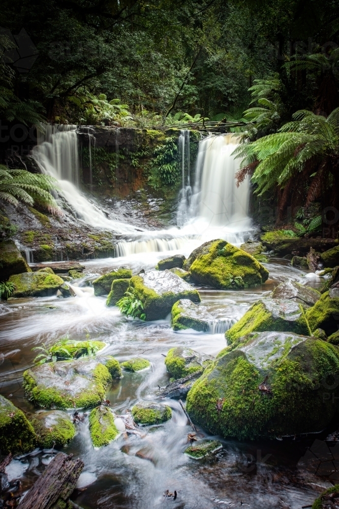 Vertical view of Green moss covered stones in front of a flowing waterfall. - Australian Stock Image