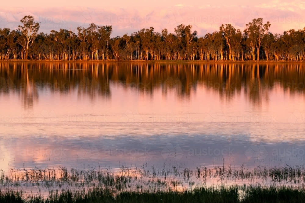 View across lake with pink afternoon light and reflections - Australian Stock Image