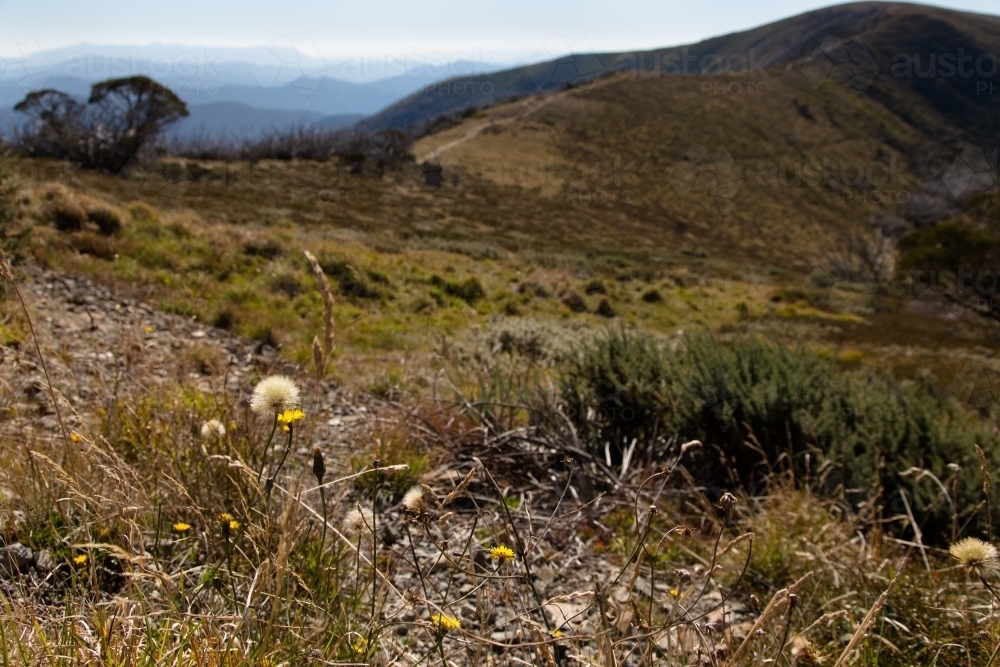 View looking over the alpine national park, victoria - Australian Stock Image