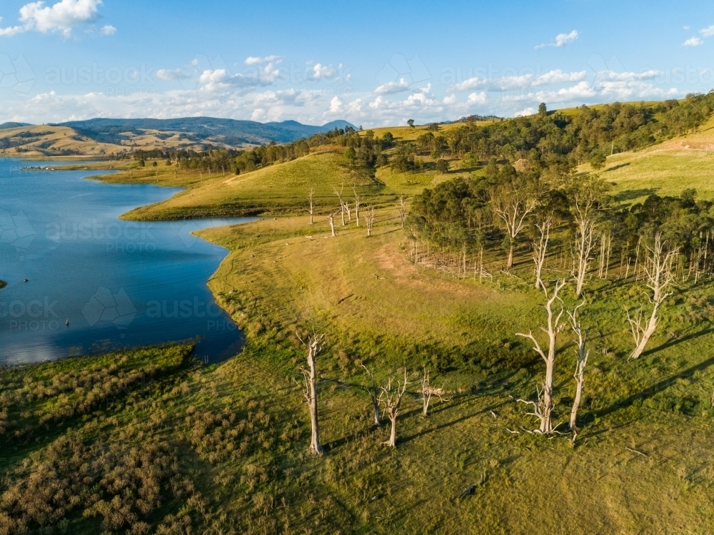 View of Lake St Clair and dead trees in the Hunter valley NSW Australia - Australian Stock Image