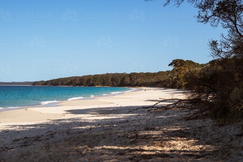 View of long white sandy beach with person in the distance - Australian Stock Image