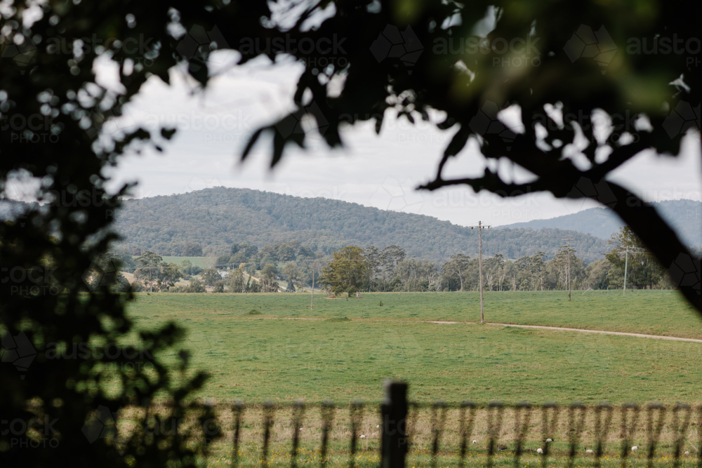 View of park through silhouette of trees - Australian Stock Image