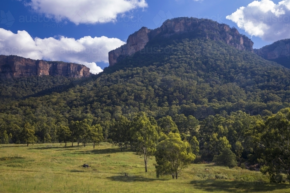View of sandstone cliffs, paddock and forest in the Blue Mountains - Australian Stock Image