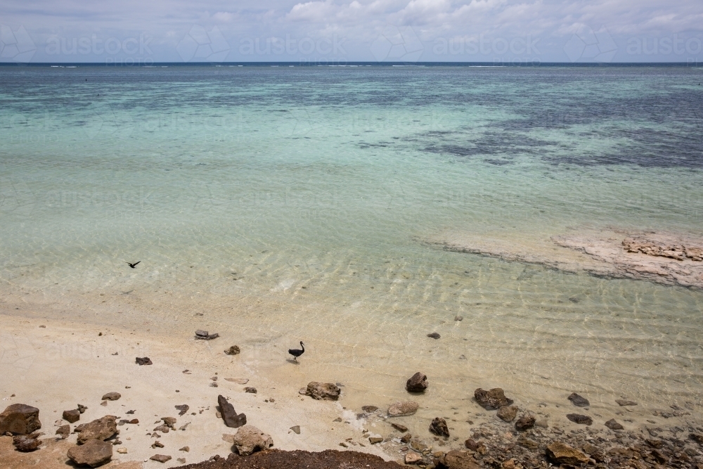 view of the coral reef surrounding Heron Island from the shore - Australian Stock Image