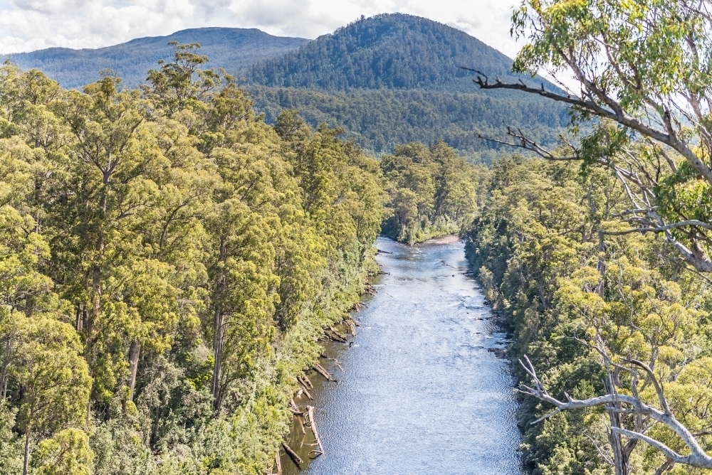 View of tree lined river from Skywalk, Tahune Forest - Australian Stock Image