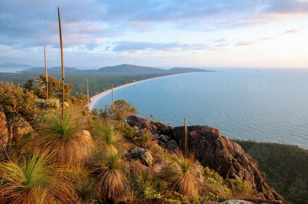 View over a large bay and beach at sunrise with grass trees - Australian Stock Image