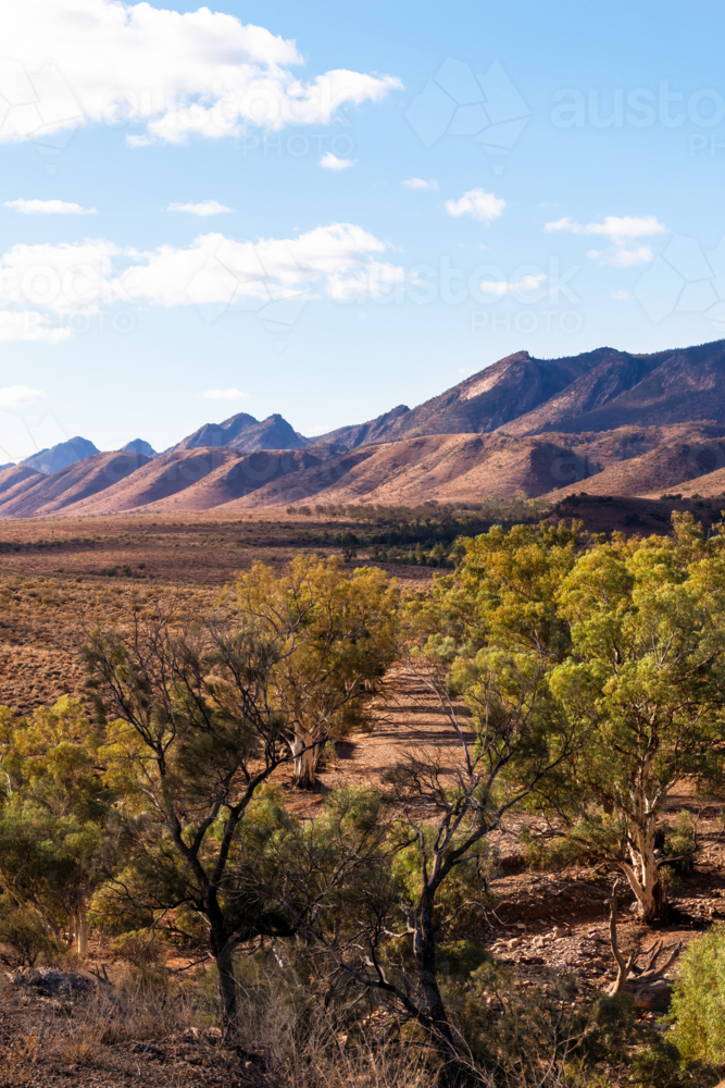 View towards mountain ranges in Flinders Ranges, South Australia - Australian Stock Image