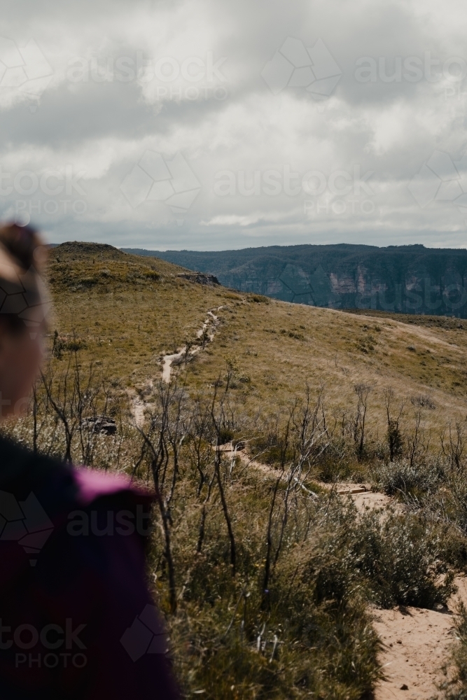 Views of the Lockleys Pylon Walking Track towards the summit. - Australian Stock Image