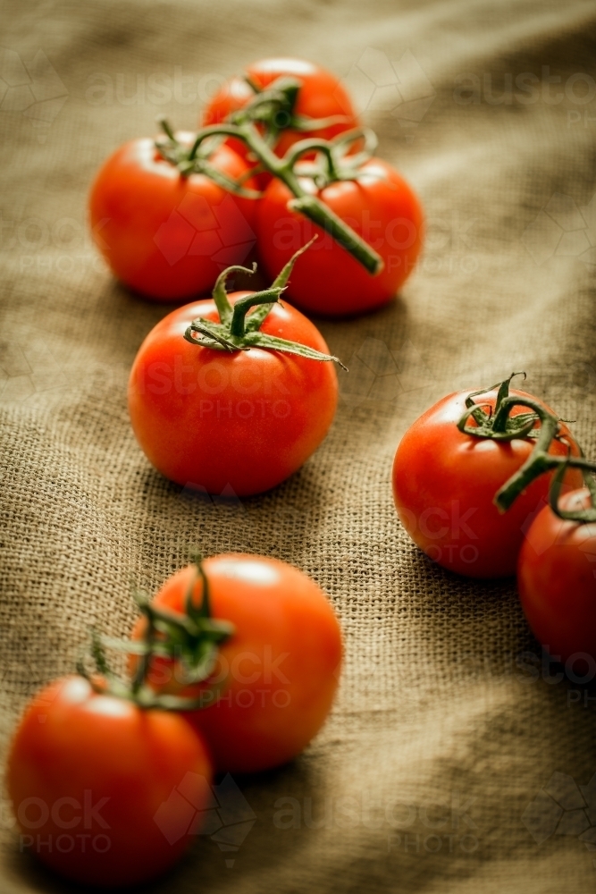 Vine tomatoes on hessian - Australian Stock Image