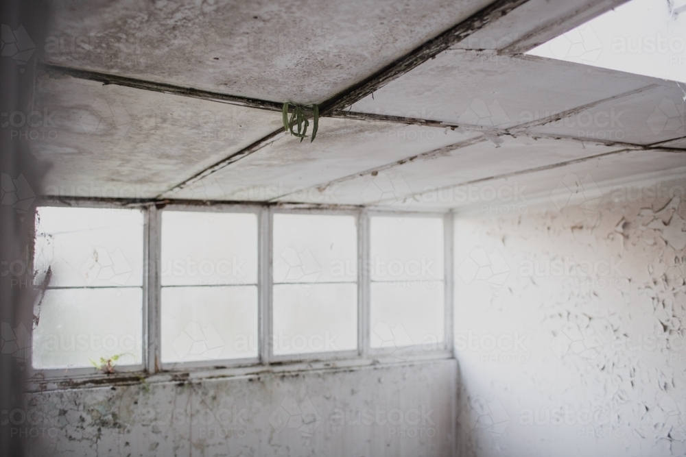 warehouse window in derelict apartment lobby - Australian Stock Image